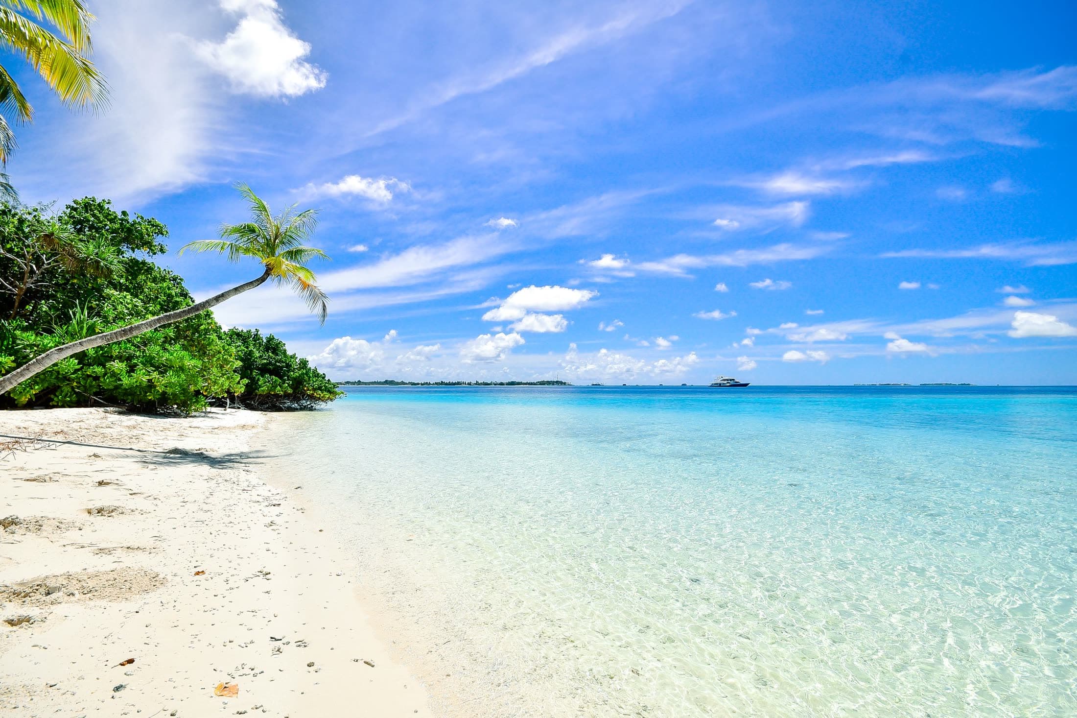 Palm-framed white sand beach and turquoise Caribbean water in Jamaica